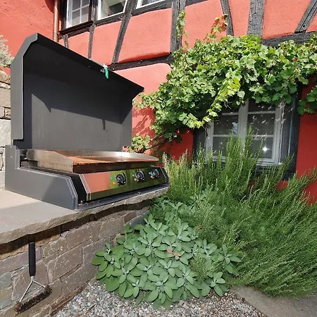 Daire Oberstaader Galerie